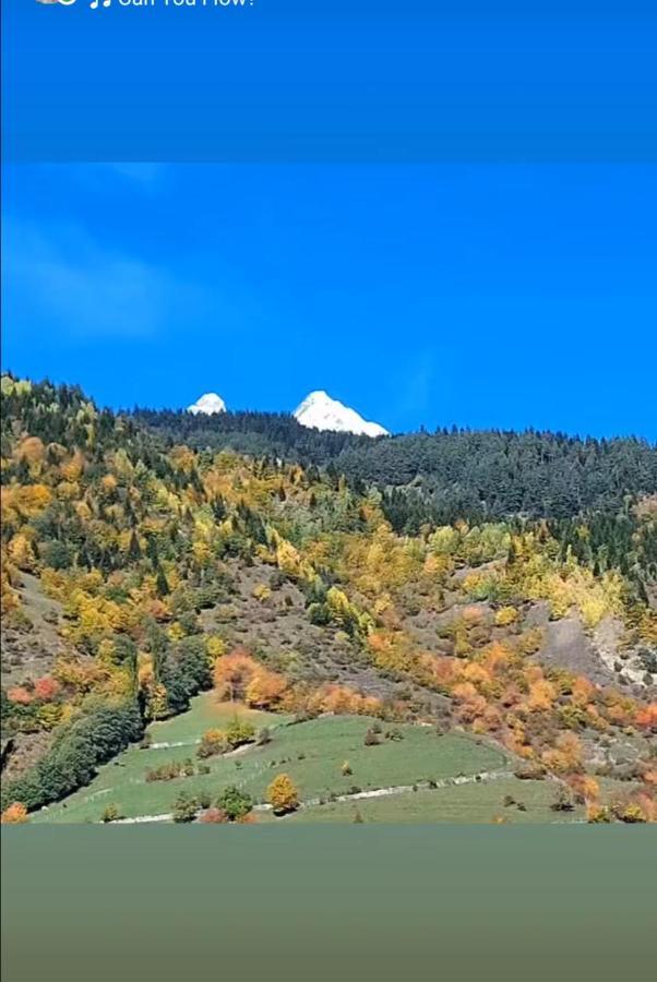 Tetne Qor Guesthouse Mestia Exteriér fotografie