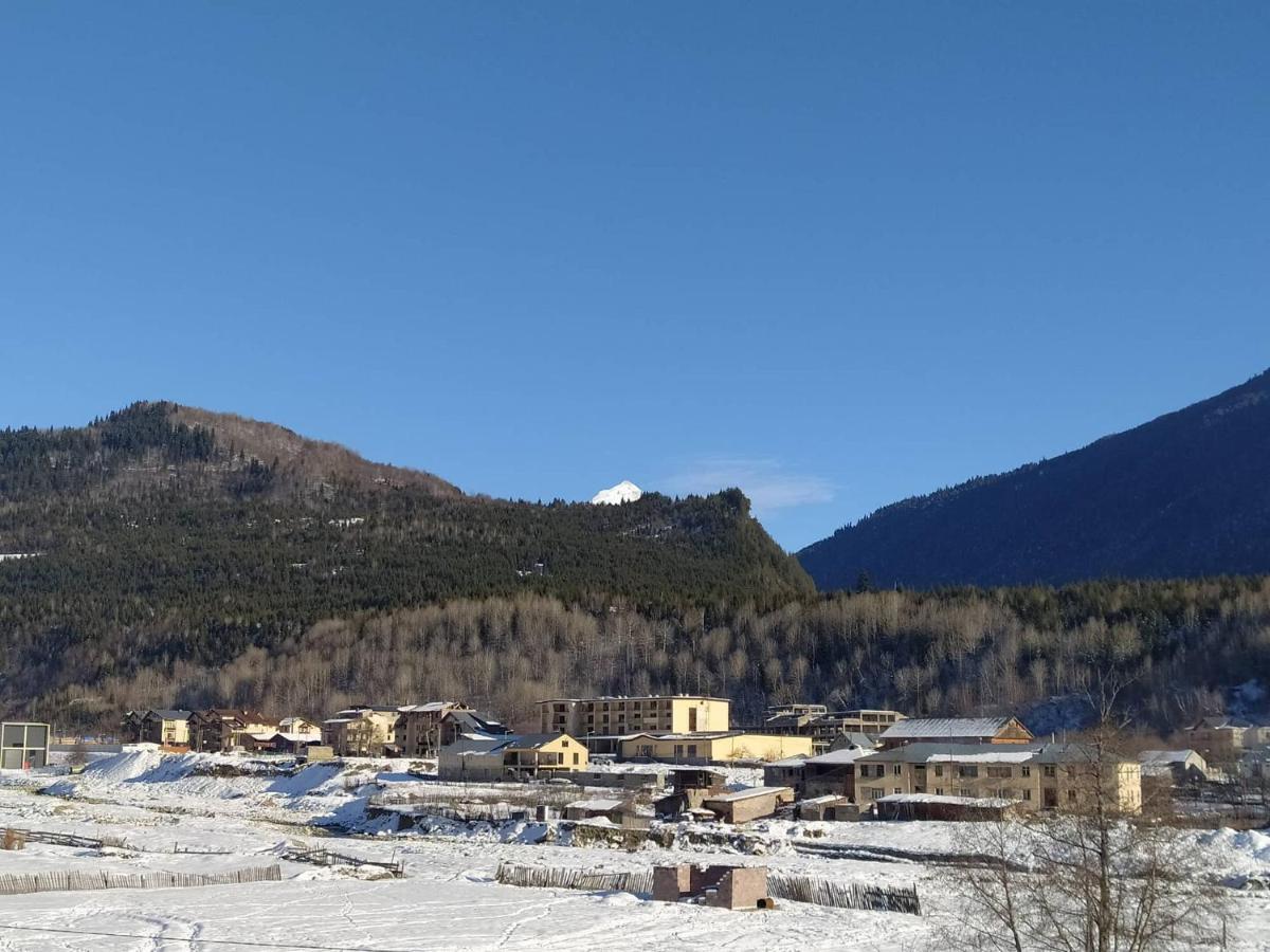 Tetne Qor Guesthouse Mestia Exteriér fotografie