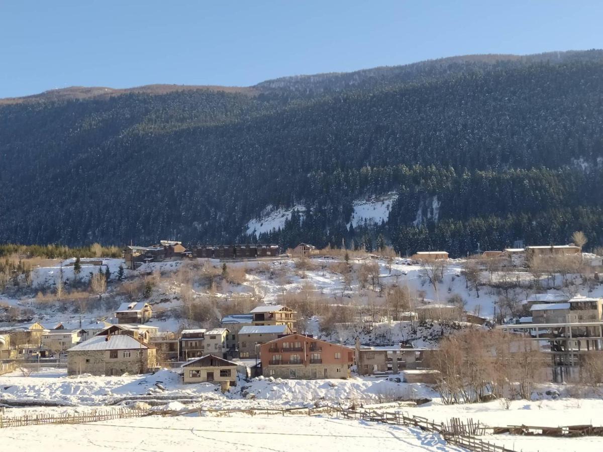 Tetne Qor Guesthouse Mestia Exteriér fotografie